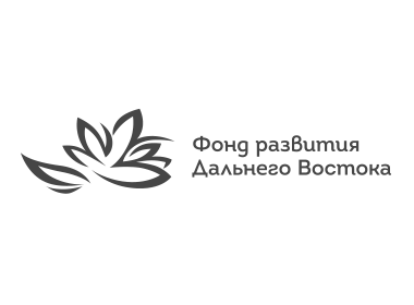 ЦУП для Фонда Развития Дальнего Востока